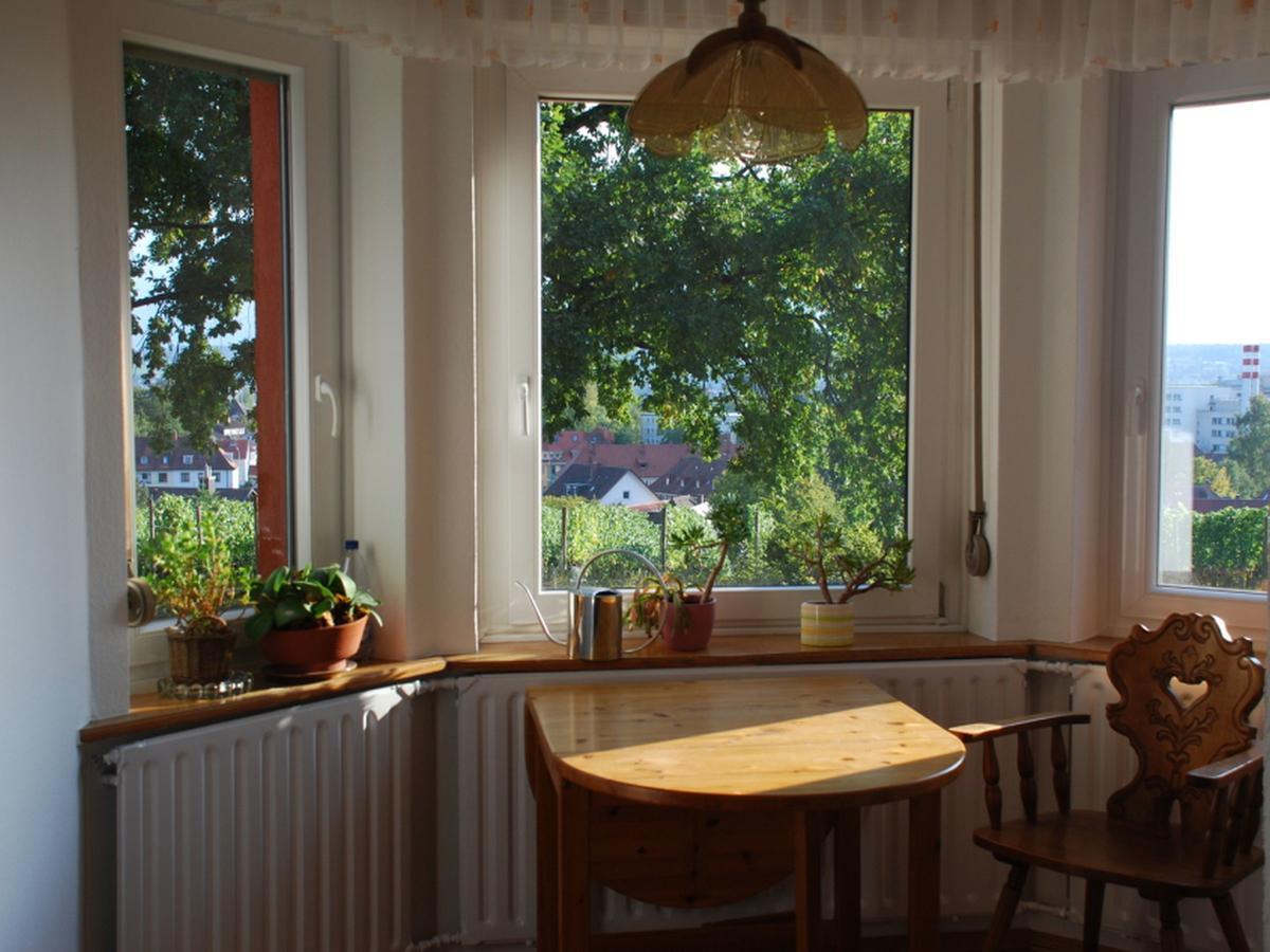 Blum Konstanz
